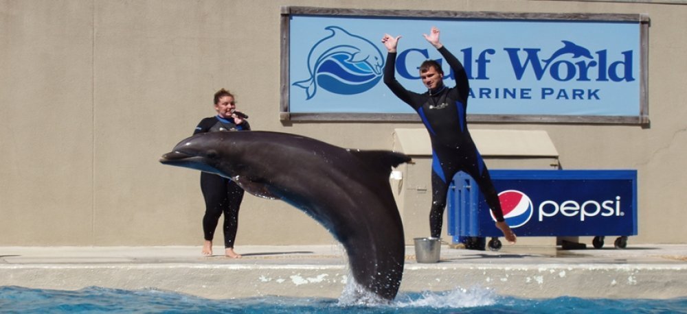 Panama City Beach Attractions